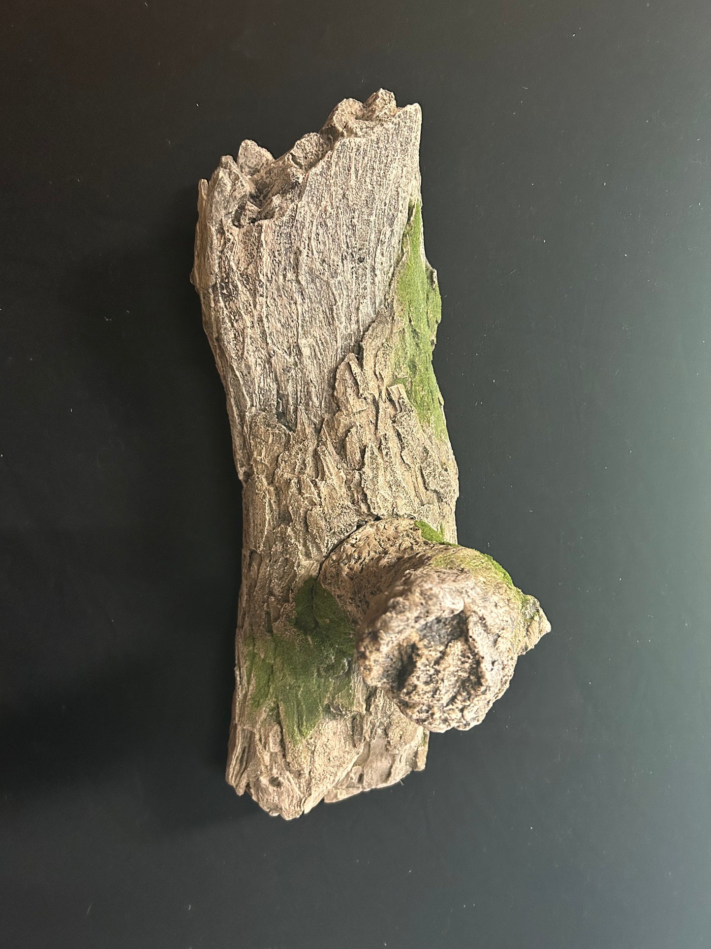 Tree Limb with Perch