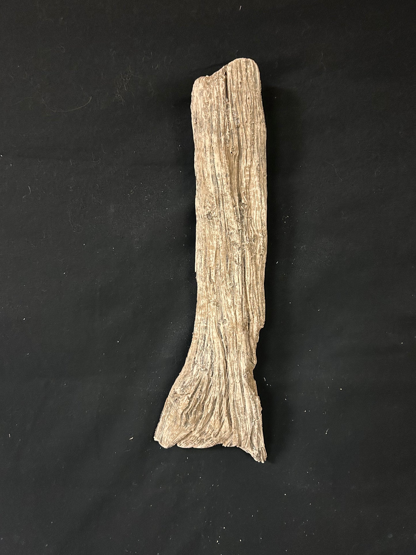 Driftwood #10