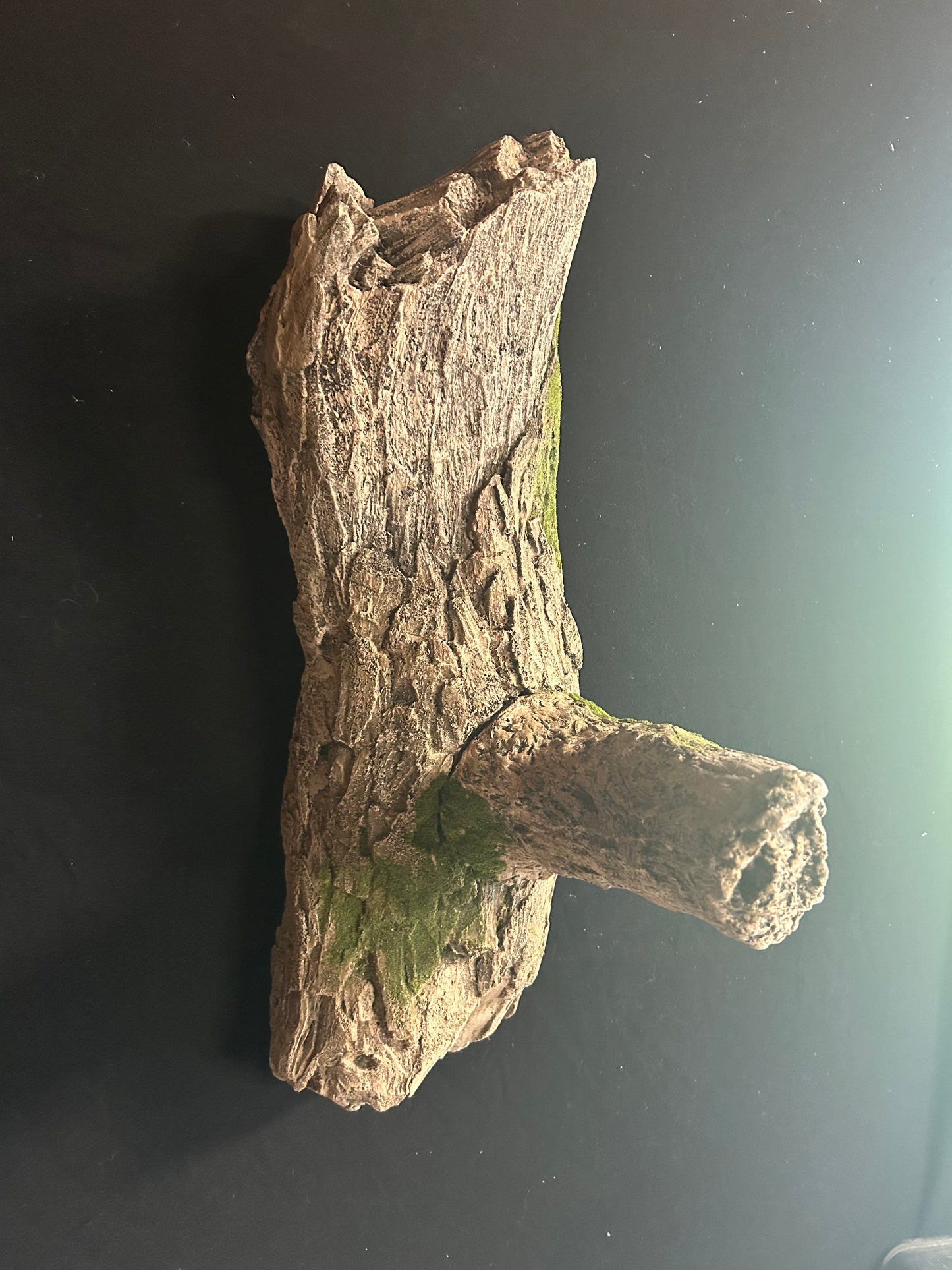 Tree Limb with Perch