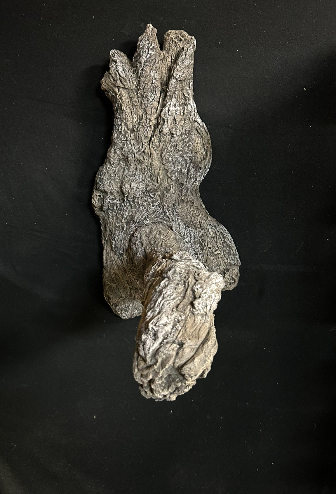 Large Split Branch