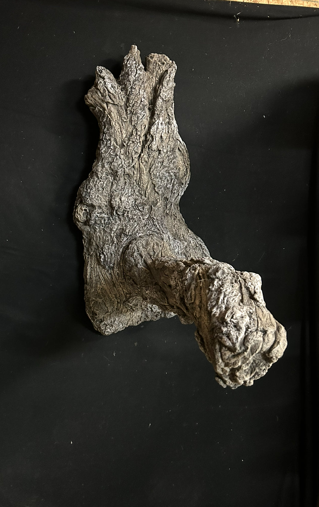 Large Split Branch