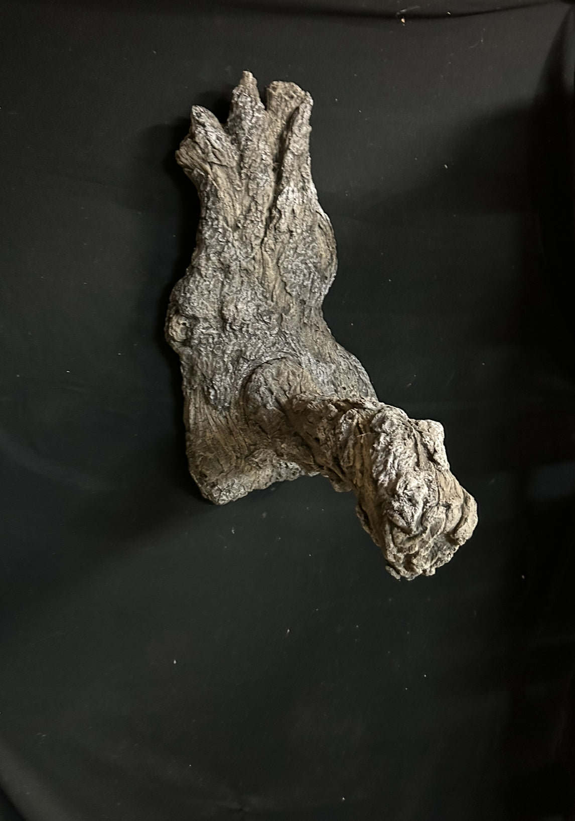 Large Split Branch