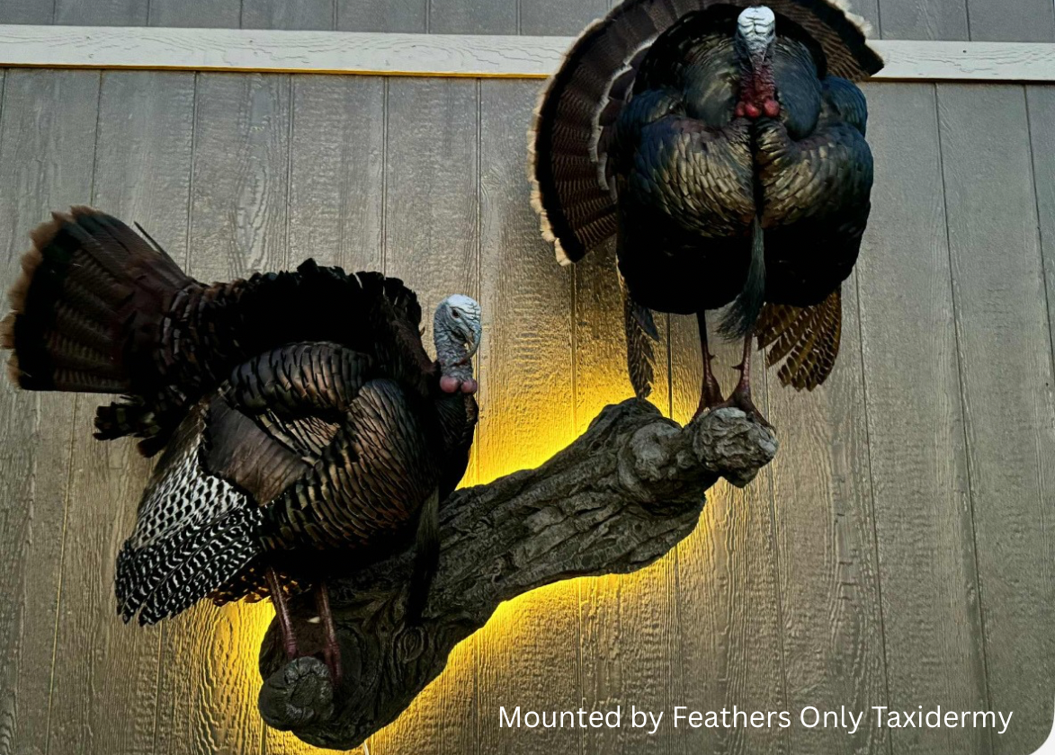Double Turkey