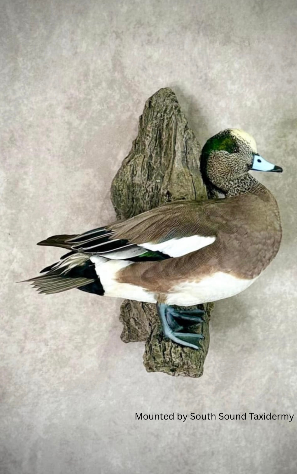 Duck Branch