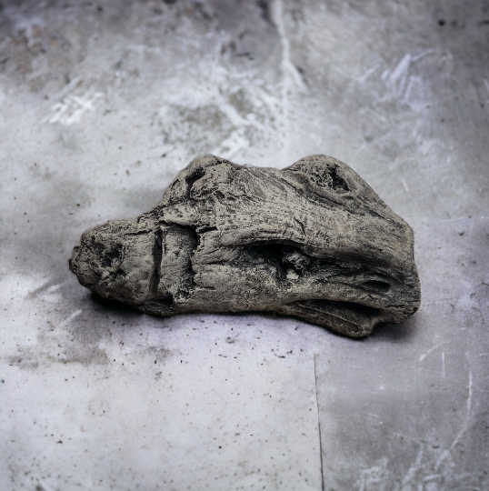 Driftwood #02