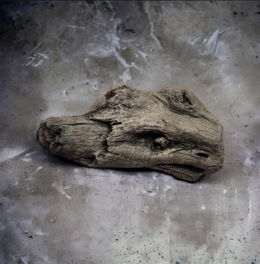Driftwood #02