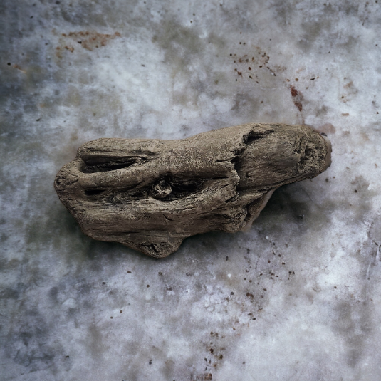 Driftwood #02
