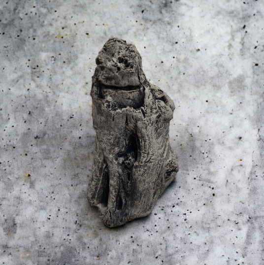 Driftwood #02