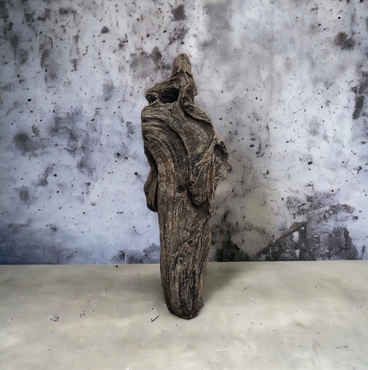 Driftwood #06