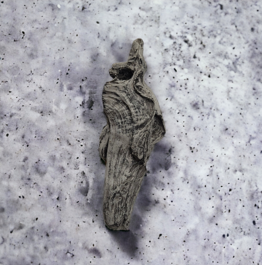 Driftwood #06