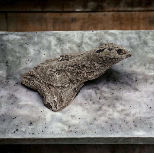 Driftwood #08