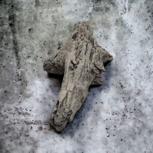 Driftwood #08