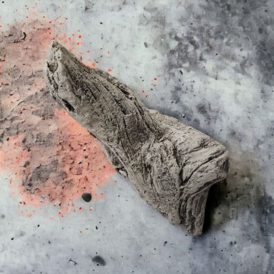 Driftwood #08