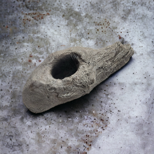Driftwood #11