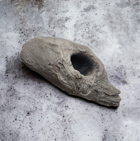 Driftwood #11