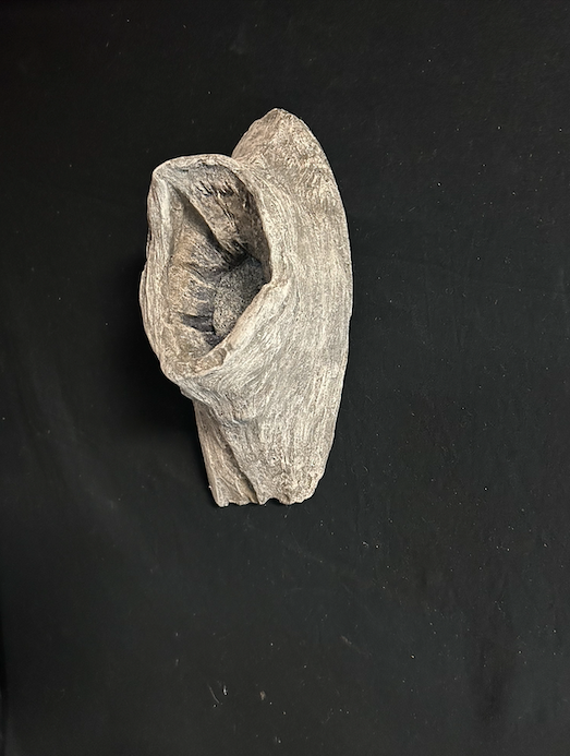 Wood Duck Knot