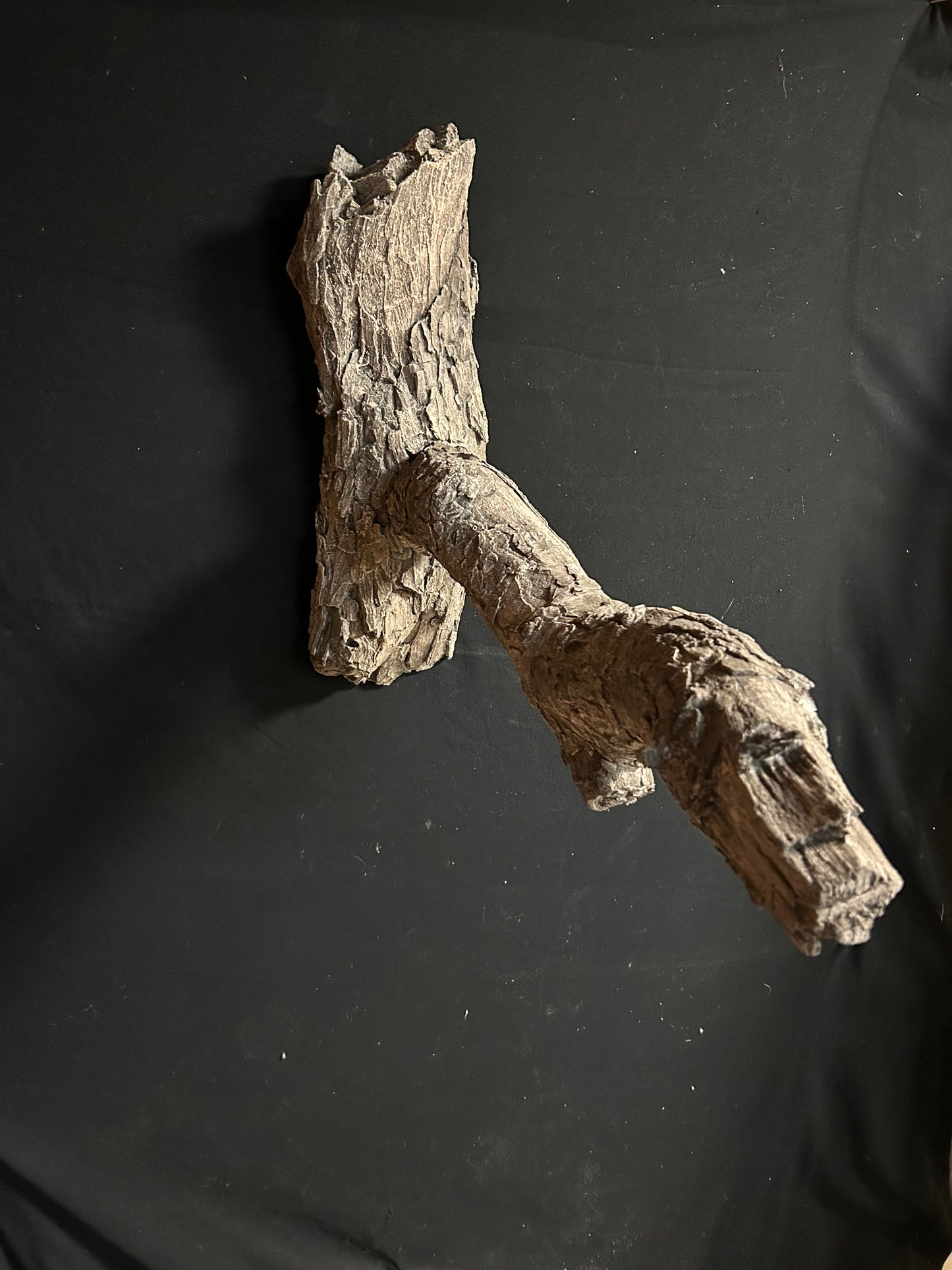 Turkey Limb