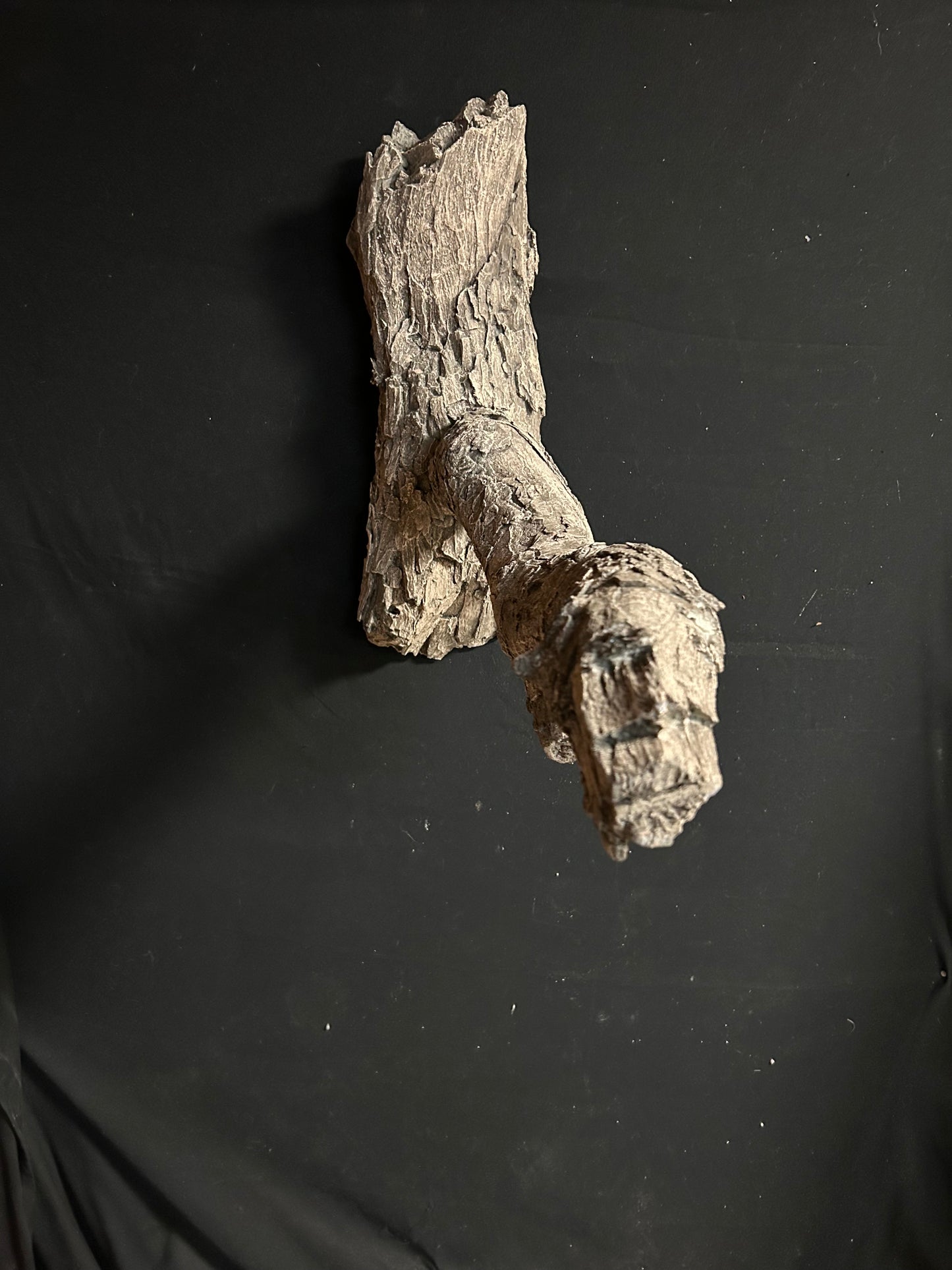 Turkey Limb