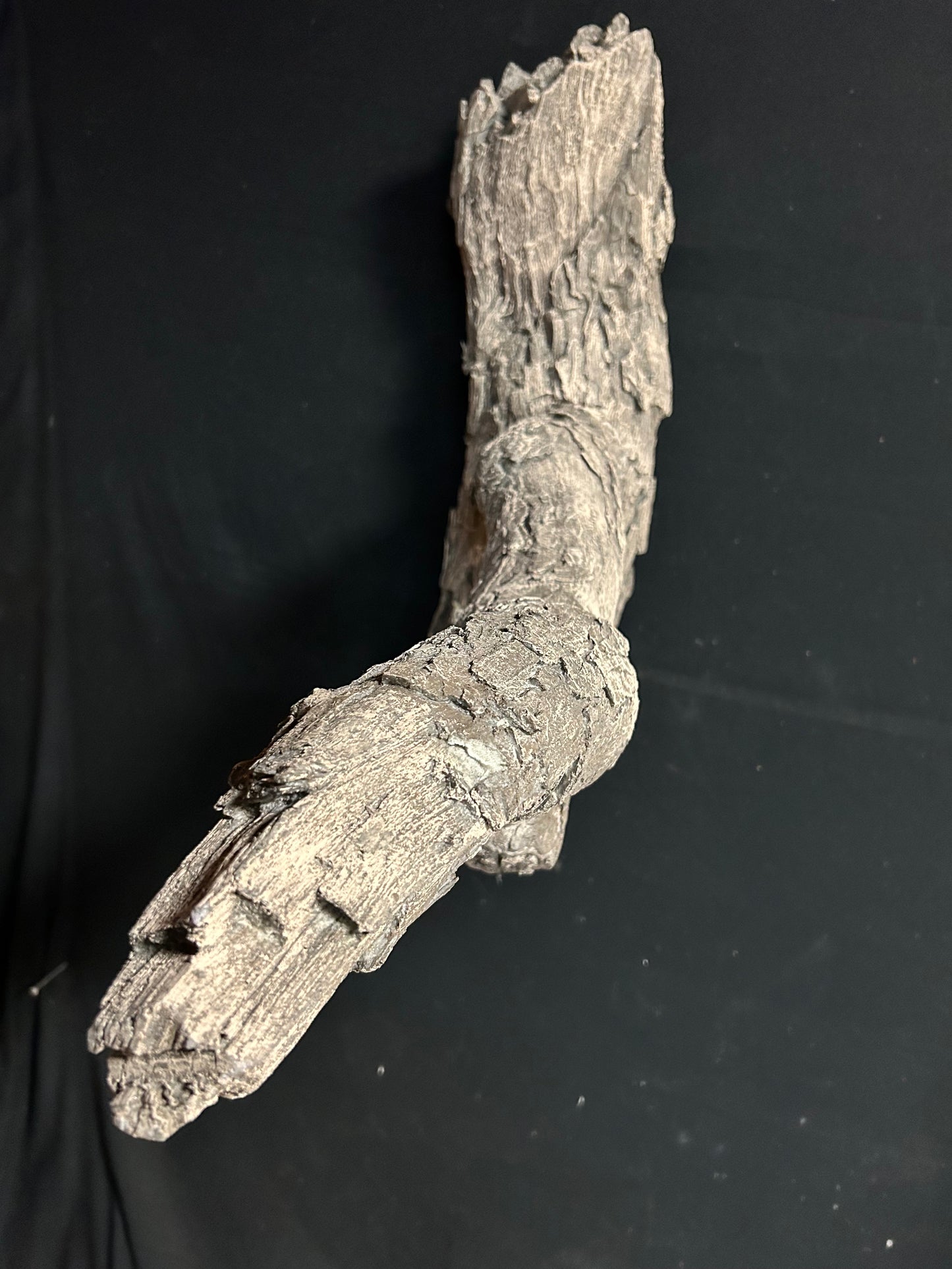 Turkey Limb