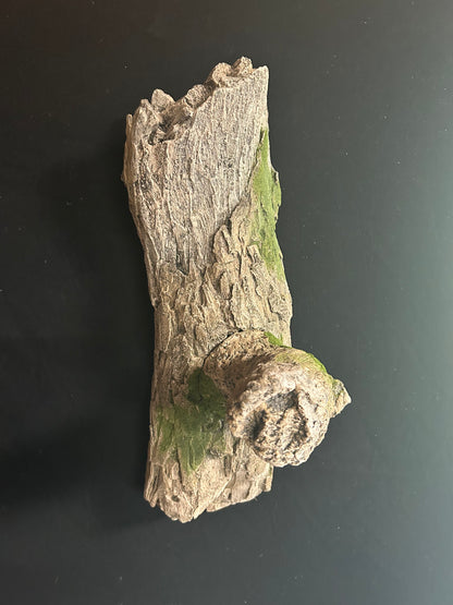 Tree Limb with Perch