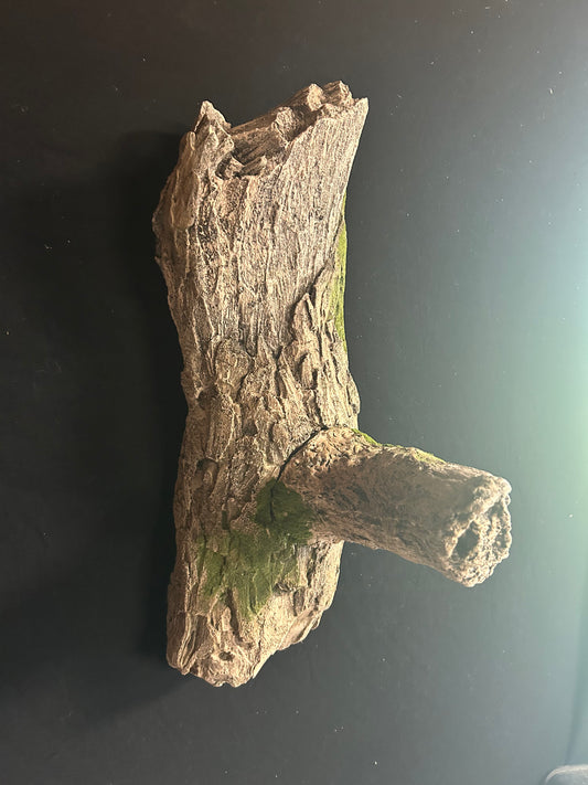 Tree Limb with Perch