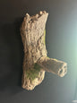 Tree Limb with Perch