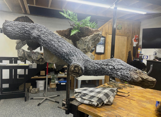 Large Wall Limb with Rocks