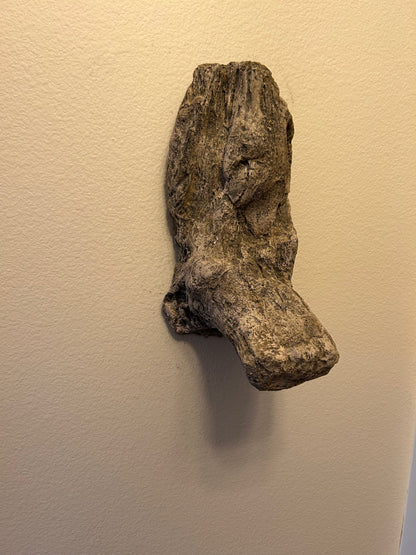 Little Duck Limb