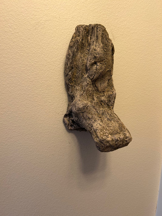 Little Duck Limb