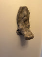 Little Duck Limb