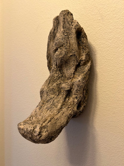 Little Duck Limb