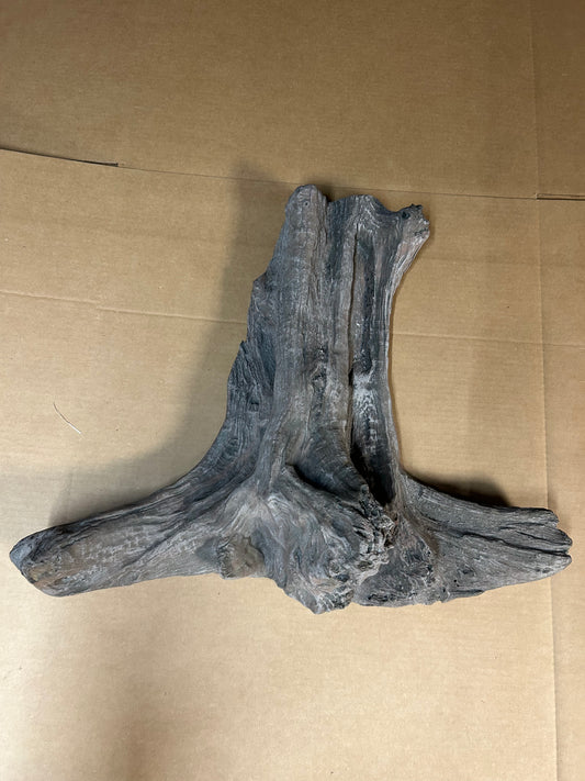 Cypress Limb