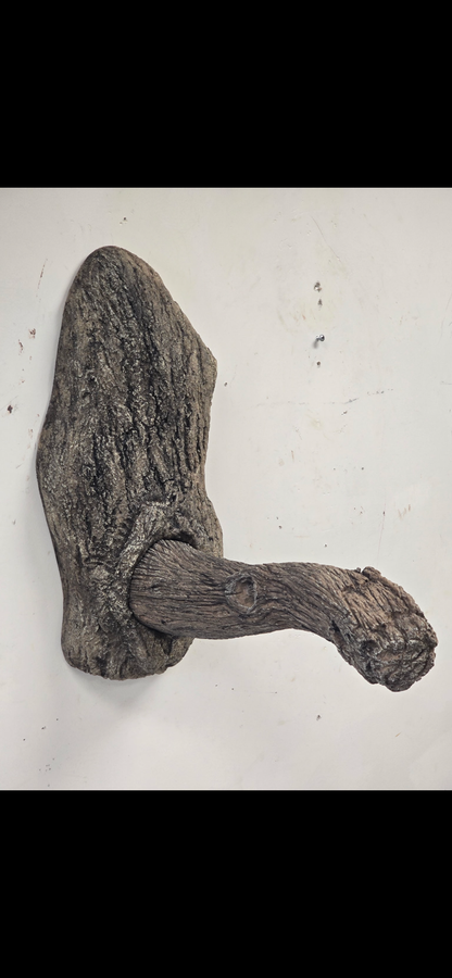 JC1
