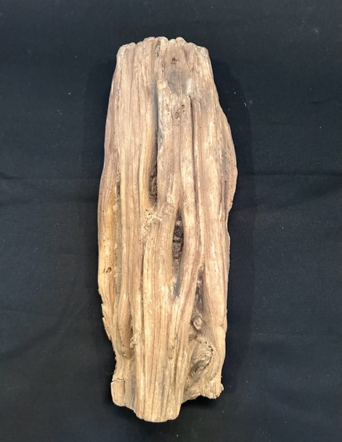 Driftwood #12