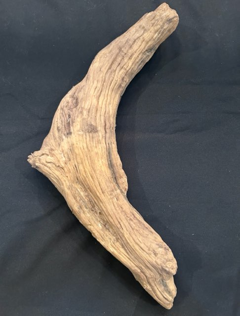 Driftwood #15