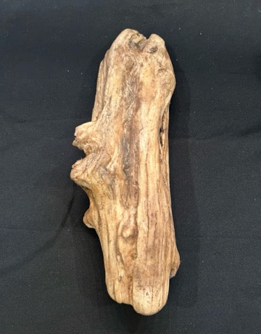 Driftwood #13