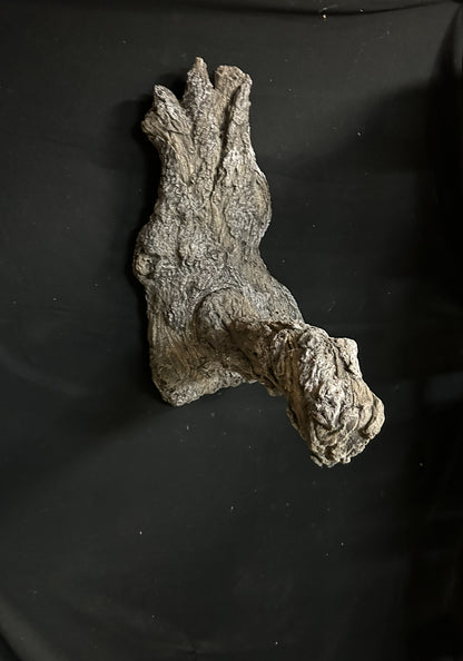 Large Split Branch
