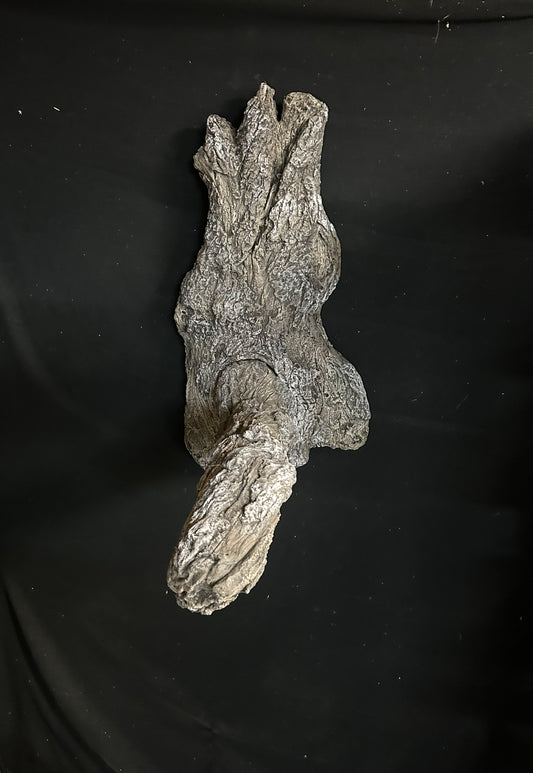 Large Split Branch