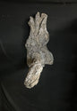 Large Split Branch