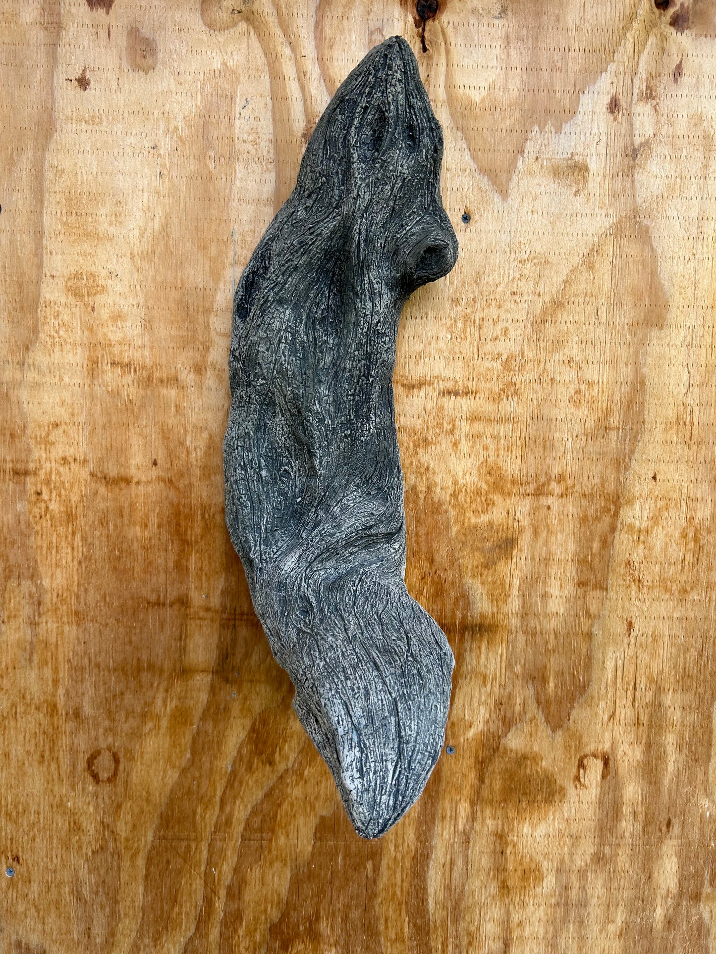 Diamond Willow Single Branch