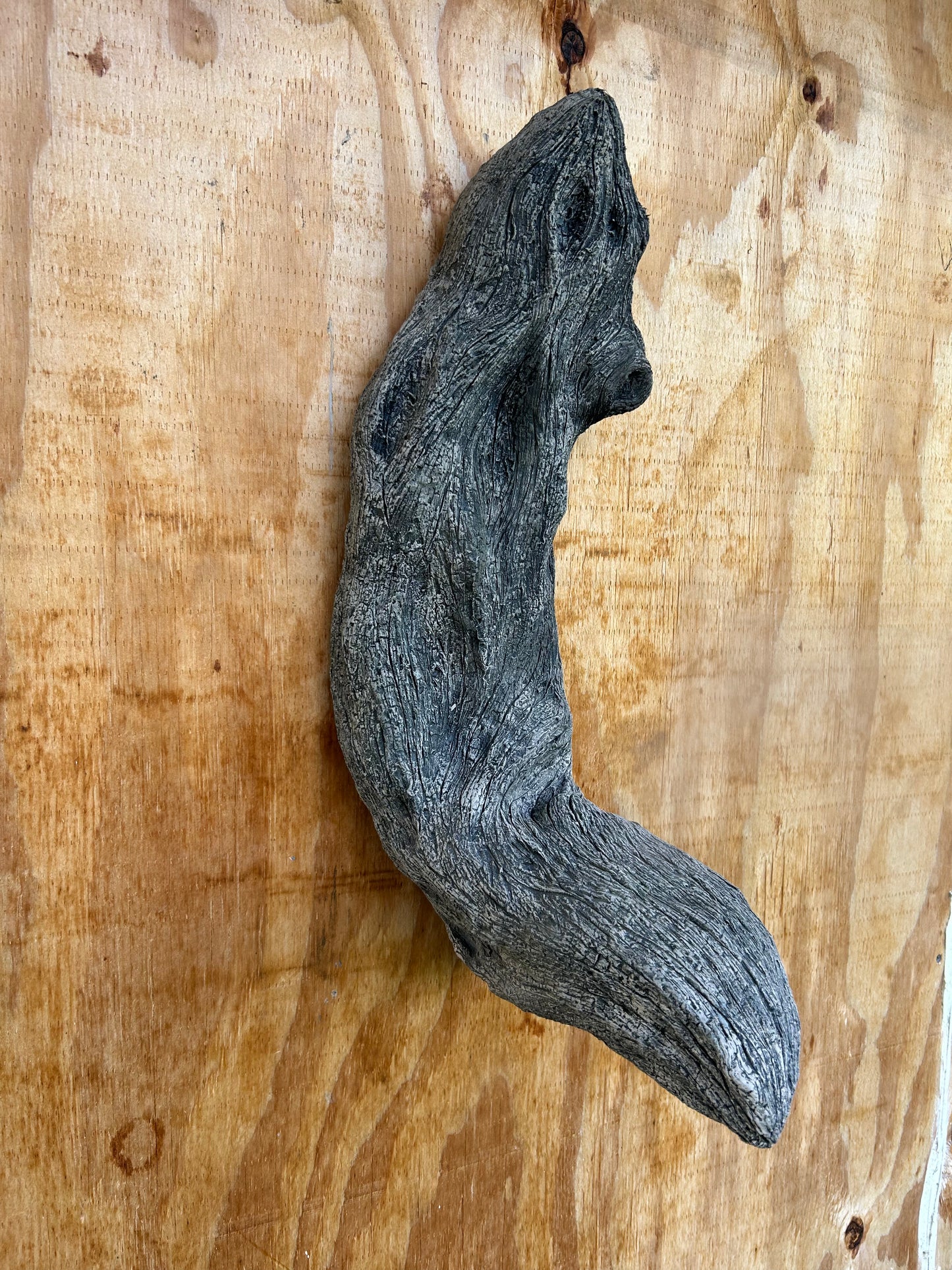 Diamond Willow Single Branch