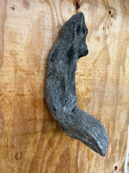 Diamond Willow Single Branch