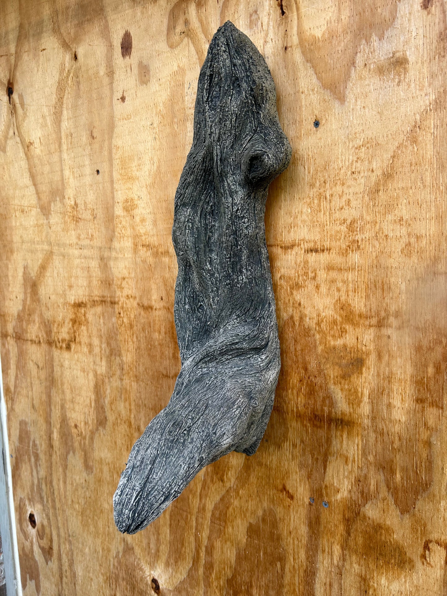 Diamond Willow Single Branch