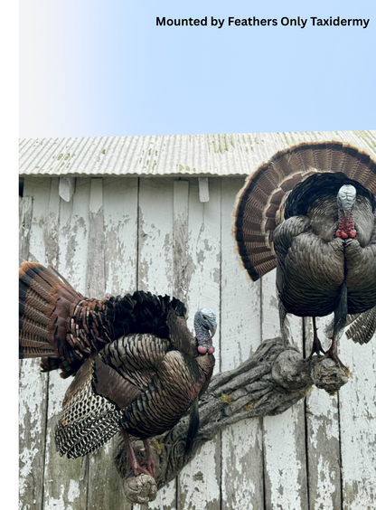 Double Turkey