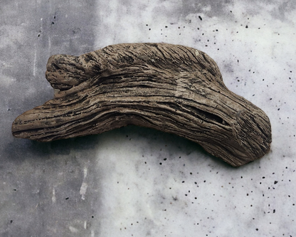 Driftwood #01