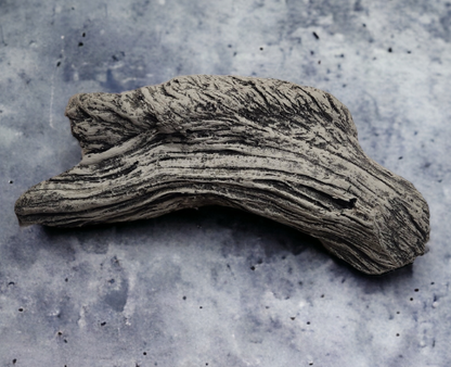 Driftwood #01