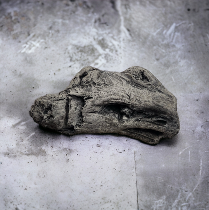Driftwood #02