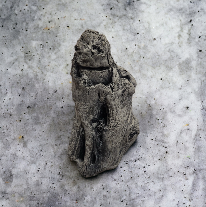 Driftwood #02