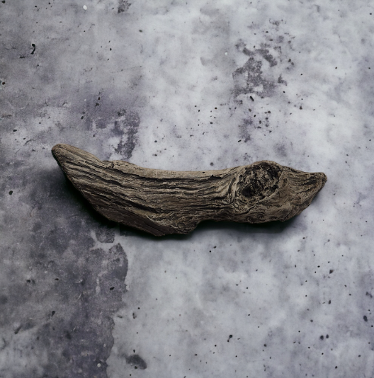 Driftwood #05