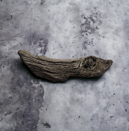 Driftwood #05